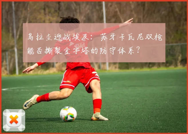 乌拉圭迎战埃及：苏牙卡瓦尼双枪能否撕裂金字塔的防守体系？