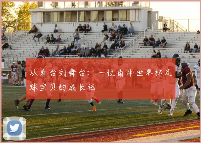 从看台到舞台：一位南非世界杯足球宝贝的成长记