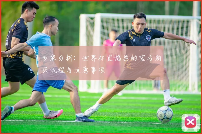 专家分析：世界杯直播票的官方购买流程与注意事项