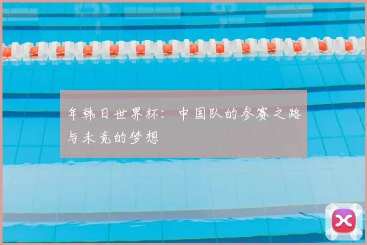 年韩日世界杯：中国队的参赛之路与未竟的梦想