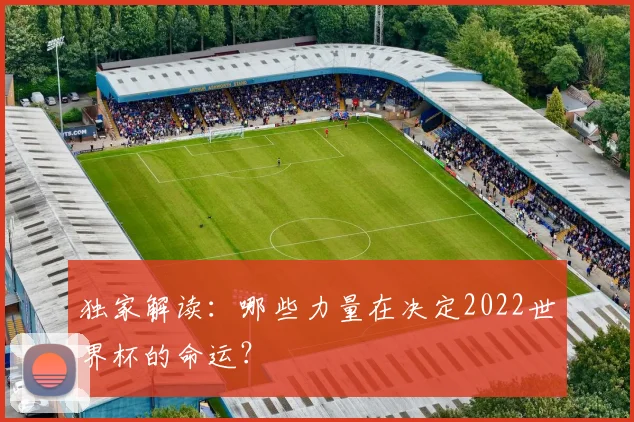 独家解读：哪些力量在决定2022世界杯的命运？
