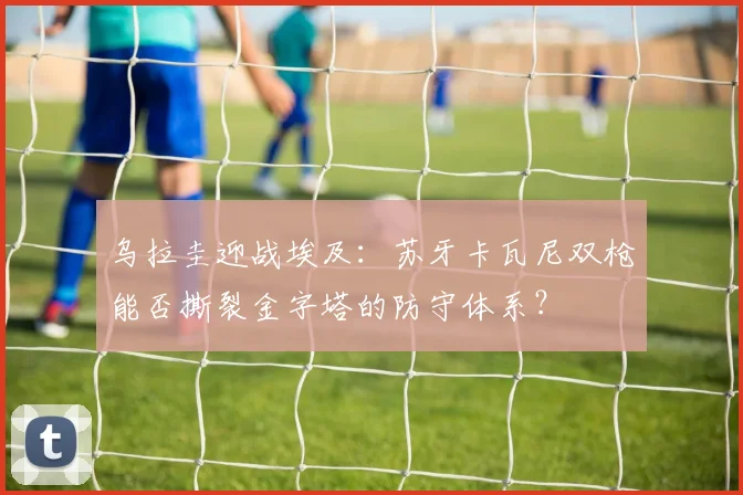 乌拉圭迎战埃及：苏牙卡瓦尼双枪能否撕裂金字塔的防守体系？