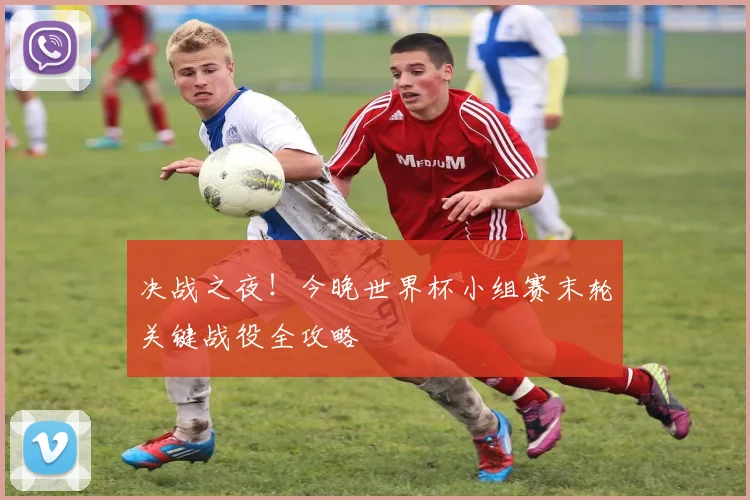 决战之夜！今晚世界杯小组赛末轮关键战役全攻略