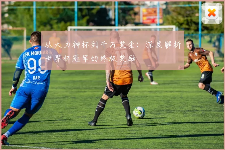 从大力神杯到千万奖金：深度解析世界杯冠军的终极奖励